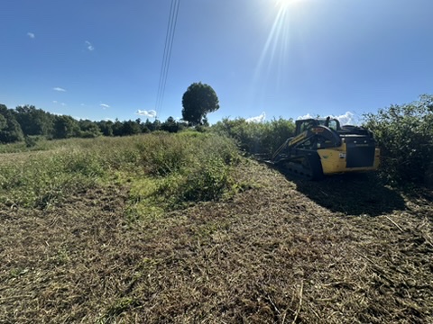 Land clearing equipment by Stone & Rubble, clearing lush grass and shrubs under a sunny, blue sky.