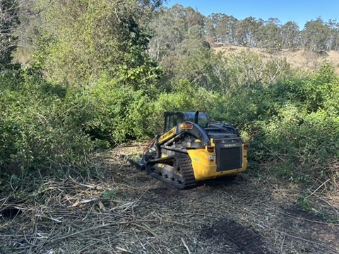 Yellow and black excavator clearing land amid dense foliage for Stone & Rubble's property maintenance services.
