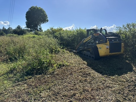 Yellow and black skid steer loader clearing overgrown land for Stone & Rubble's acreage mowing services.