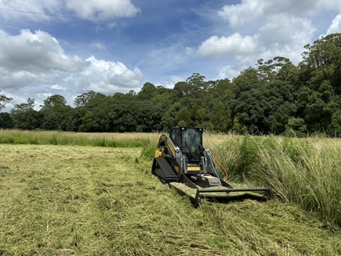 Track loader mowing lush grass, highlighting Acreage Mowing Services' expertise in land maintenance.